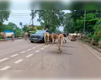 धमतरी में हाईवे सर्विलेंस टीम सक्रिय, ब्लैक स्पॉट पर रहेगी नजर
