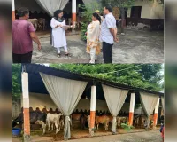 गौशाला में खाली पानी की नाद, खराब पंखे व सड़ा साइलेज देख एडीएम नाराज