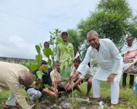 हरिशंकरी अभियान में भाजपा नेता भगीरथ नगायच ने किया वृक्षारोपण