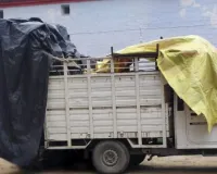 थाना महुली पुलिस द्वारा पिकअप वाहन सहित डीजे सेट किया गया सीज
