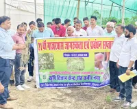 गाजर घास मानव स्वास्थ्य, फसलों और पर्यावरण के लिए गंभीर खतरा
