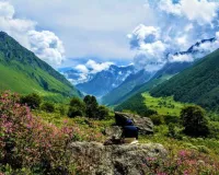 उत्तराखंड में फूलों की घाटी घूमने का सबसे अच्छा समय क्या है? 