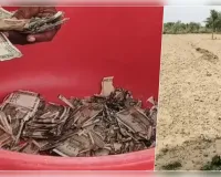  चोरी के डर से खेत में गाड़े 5 लाख, जगह भूल गया किसान