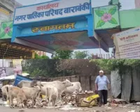 नगर पालिका की लापरवाही उजागर: कूड़ा उठाकर सड़कों पर डाल रहे वाहन