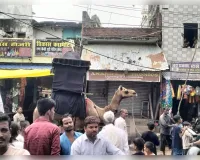 अलविदा या हुसैन की सदाओं के बीच निकाला गया जुलूसे अमारी