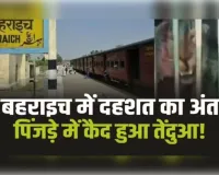 आखिरकार पिंजड़े में कैद हुआ दहशत का पर्याय बना तेंदुआ