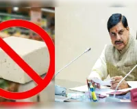 मध्य प्रदेश में एनालॉग पनीर बैन, सरकार ने कसी कमर, जानें क्या है वजह