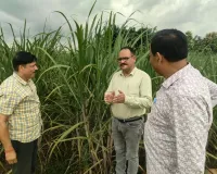 इकाई प्रमुख ने किया गन्ना प्लांट के साथ बाढ़ क्षेत्र का निरीक्षण