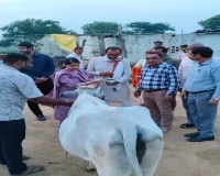 गौशालाओं में हर्षोल्लास से मनाई गई श्रीकृष्ण जन्माष्टमी, डीएम ने किया गो पूजन