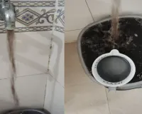 गुलमोहर एन्क्लेव में फिर आया काला और गंदा पानी