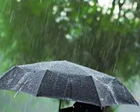 मध्य प्रदेश में बारिश से बिगड़े हालात
