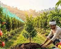 मध्य प्रदेश में उद्यानिकी मूल्य श्रृंखला पर नीति संवाद आज