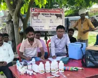 बाढ़ग्रस्त हुलासी पुरवा में लगा पशु राहत चिकित्सा शिविर, 317 पशुओं का उपचार