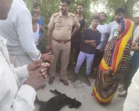 बकरी पर झपटा तेंदुआ,महिला के शोर मचाने पर जंगल की ओर भागा