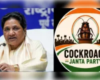मायावती का राजनीतिक दलों पर आरोप, सीजेपी आंदोलनों में जताया अपना हक