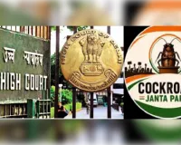 गौरव भाटिया के खिलाफ अपलोड किए गए पोस्ट हटाएं CJP : हाई काेर्ट