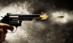वर्जीनिया-मिशिगन में गोलीबारी, हमले में 6 लोगों की मौत 