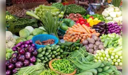  मप्र सब्जी उत्पादन में देश में तीसरे स्थान पर पहुंचा