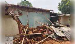 छत्तीसगढ़ के रायगढ़ में जंगली हाथियों का आतंक, छह ग्रामीणों के कच्चे मकानाें काे किया क्षतिग्रस्त