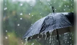 बारिश से मौसम हुआ सुहाना, आठ जून से पश्चिमी राजस्थान में फिर बढ़ेगी गर्मी