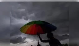 मध्य प्रदेश : 39 जिलों में आंधी-बारिश का अलर्ट, कम वर्षा से खरीफ बुवाई पर संकट