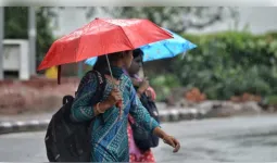 मध्य प्रदेश: 45 जिलों में आज आंधी-बारिश का अलर्ट, पूरे प्रदेश में पहुंचेगा मानसून