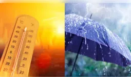 मध्य प्रदेश में लू और उमस का कहर, 25 जून के बाद मानसून की दस्तक के संकेत