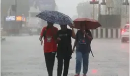 मध्य प्रदेश के 50 जिलों में बारिश का अलर्ट, पांच जिलों में भारी वर्षा की चेतावनी