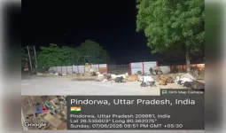 गोवंश संरक्षण व्यवस्था को धता बता रहे जिम्मेदार, सड़कों पर घूम रहे निराश्रित गौवंश