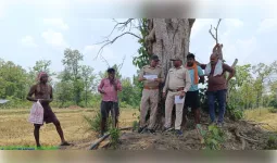 बलौदाबाजार वनमण्डल के अंतर्गत वन भूमि पर अतिक्रमण रोकने को एंटी एनक्रोचमेंट ड्राइव शुरू