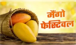 स्वाद और समृद्धि का प्रतीक आम महोत्सव 3 जुलाई से, वैश्विक स्तर पर होगी ब्रांडिंग