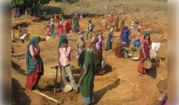 मध्य प्रदेश: शुरू हुआ 'वीबी जी-राम' मिशन, ग्रामीण रोजगार और आजीविका को मिलेगी नई रफ्तार