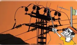साबुन फैक्ट्री, डेयरी फार्म समेत 13 जगह बिजली चोरी पकड़ी, 17 लाख से अधिक का जुर्माना