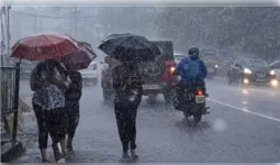 मध्य प्रदेश में फिर एक्टिव हुआ मानसून, 6 जिलों में भारी बारिश की चेतावनी, अलर्ट जारी