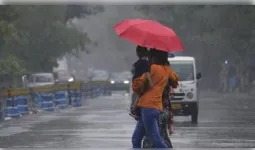 मप्र में भोपाल-इंदौर समेत 35 जिलों में आज बारिश का अलर्ट, 4 दिन तक भारी बारिश के आसार