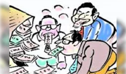 पशु चिकित्सक एसोसिएशन ने लगाया सरकारी धन के गबन का आरोप!