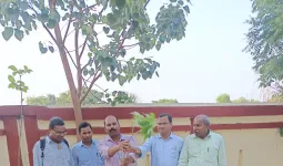 राजकीय महाविद्यालय सिराथू में 100 पौधों का रोपण, पर्यावरण संरक्षण का लिया संकल्प