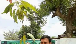 अजय क्रांतिकारी बने हरित सारथी एंबेसडर 