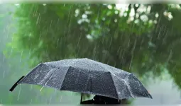 MP में स्ट्रॉन्ग मानसून सिस्टम एक्टिव, 12 जिलों में भारी बारिश का अलर्ट