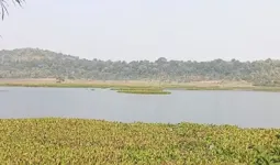  मप्र के विदिशा जिले का कागपुर क्षेत्र पक्षी कंजर्वेशन रिजर्व घोषित