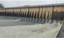 धमतरी में झमाझम बारिश से लबालब बांध, महानदी में बाढ़ का खतरा