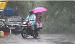मध्य प्रदेश में फिर बदला मौसम, 3 दिन भारी बारिश का अलर्ट