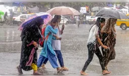 मध्य प्रदेश में फिर सक्रिय मानसून, 3 जिलों में भारी बारिश का अलर्ट