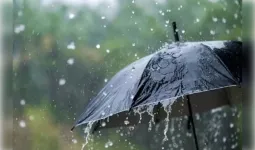 राजस्थान में मानसून सुस्त, 18 जिलों में बारिश का अलर्ट