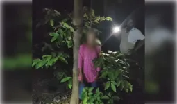 गरियाबंद जंगल में पेड़ से लटकी मिली अज्ञात युवती की लाश