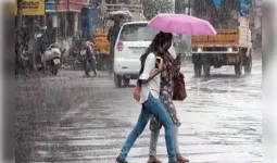एमपी में अगले 4 दिन बारिश, 7 जिलों में भारी बारिश का अलर्ट