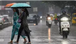 MP में फिर तेज हुआ मानसून, 5 जिलों में 8 इंच बारिश का अलर्ट