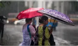 एमपी में कमजोर पड़ा मानसून, 42 जिलों में सामान्य से कम बारिश; 5 अगस्त से बदल सकता है मौसम