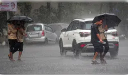 मध्य प्रदेश में फिर तेज बारिश, 11 जिलों में भारी बारिश का अलर्ट