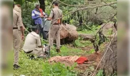 छतरपुर: सगी बहनों की संदिग्ध मौत, दफनाने के बाद कब्र से निकलवाए शव